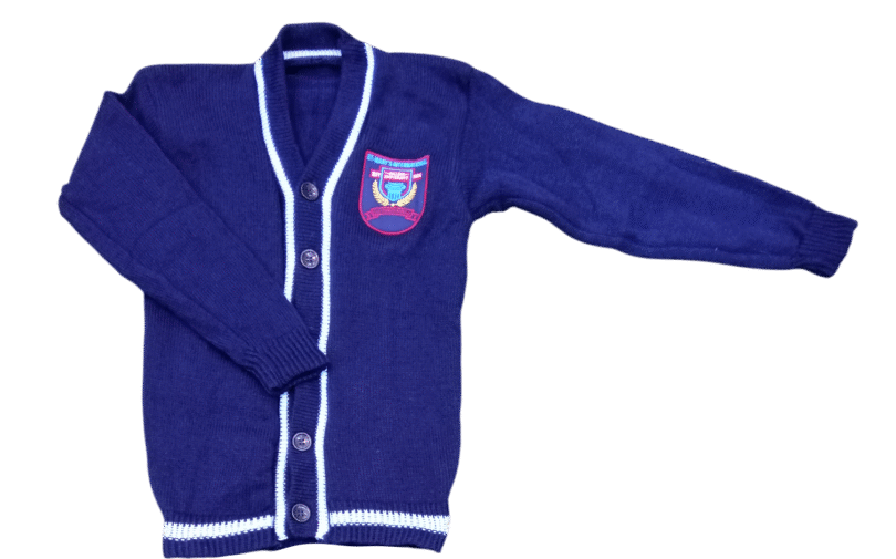 Classic School Sweater for Boys & Girls 🧥📚✨